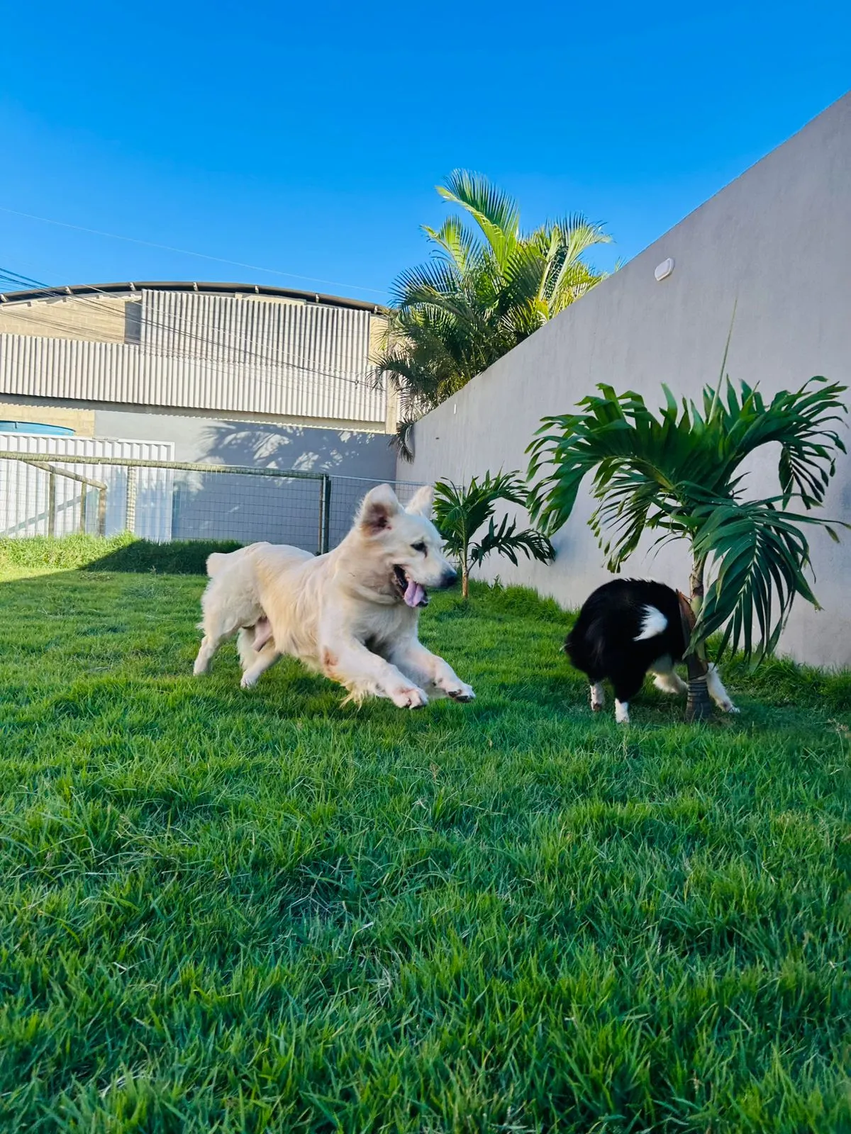 Ampla Área de Lazer